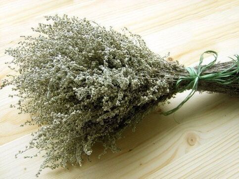 Wormwood is a popular worm and parasite plant. 