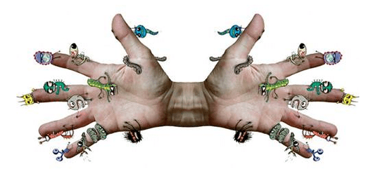 How to infect parasites