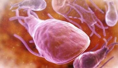 What is a person's liver