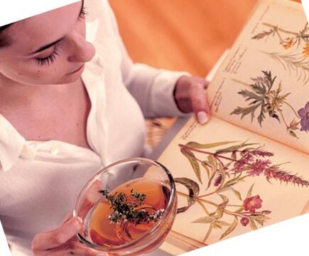 Folk recipes for parasites