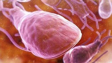 Parasites can live in the human body