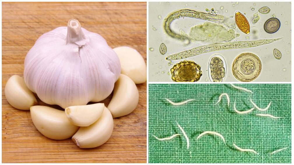 Garlic anti-parasite